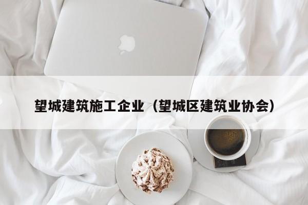 乐鱼体育-望城建筑施工企业（望城区建筑业协会）